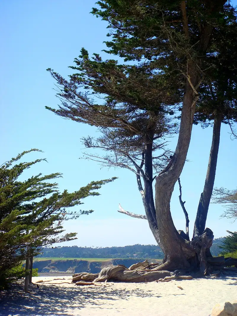 Carmel-by-the-Sea — photo